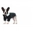 Šunų vestuvinis kostiumas - smokingo rūbas šunims 2XL dydis
