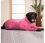 5XL Onesie šunims sveikstantiems, šunų kombinezonas po operacijos, apsauga nuo žaizdų laižymo šunims rožinis